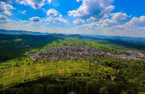 Ferienwohnung Hogh, 55qm, Terrasse - Foto 31