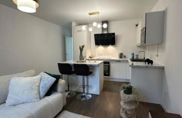 PARIS CDG Superbe appartement en résidence - Foto 9