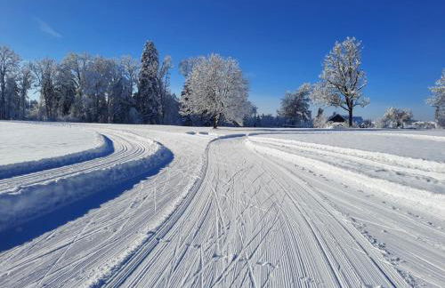 Ferienwohnung Huimelig im Allgäu - Foto 24