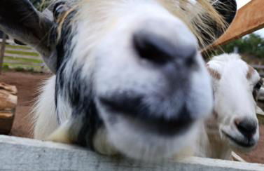 Container na natureza - Foto 11