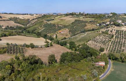 Bio Fattoria Mula D'Oro - biofattoriamuladoro it - Organic Food, Nature & Relax - Foto 33