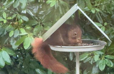 Am Wäldchen - Foto 27