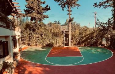 villa eleni - Foto 3