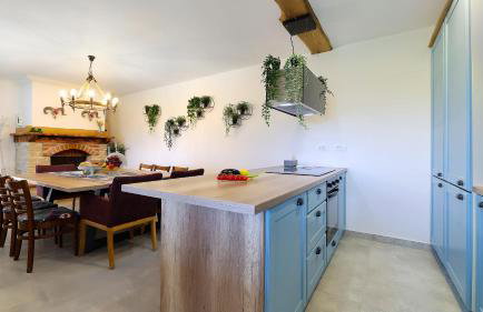 Villa Kristina - Swimming pool, Dolenja Vas - Istra - Foto 22