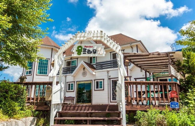 Jungfrau Pension - Photo 43