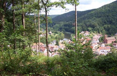 Ferienwohnung am Pfaffenfels - Foto 5