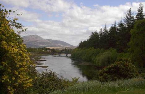 Rowanhill Cottage - Photo 17