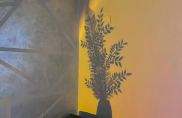 Nautilus House - Foto 13