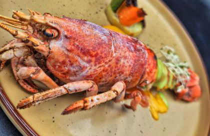 Tenuta Lunoa - Photo 27