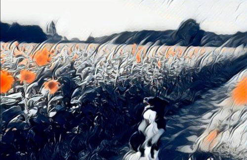 Les écuries des Princesses - Photo 37