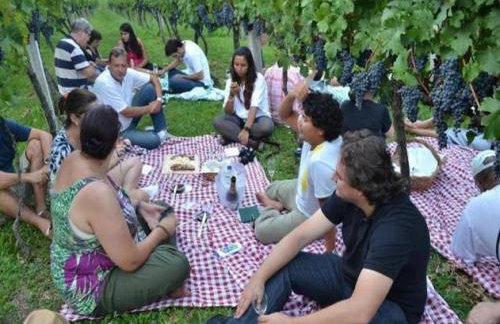 Casa das Palmeiras + Quiosque - Foto 78