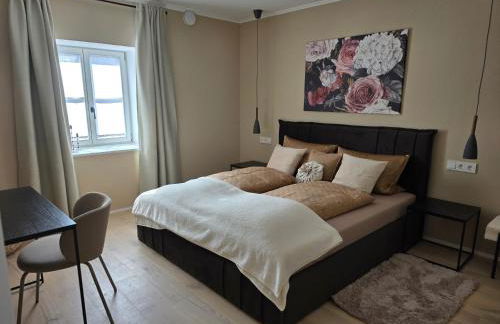 Kavaliershaus Wallerstein, stilvolle Wohnung mit Privatparkplatz - Foto 20