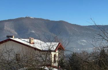 Dom w górach Saganówka Beskidy - Foto 11