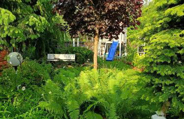 Miętowy domek - Foto 6