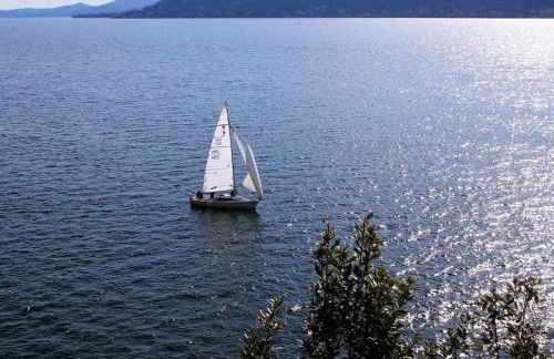 Little Suite Near Lake Maggiore - Foto 61