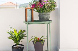 Villa Oliveto - Foto 15