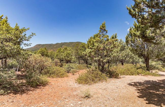 Glass House Elk Rim Pine - Photo 31