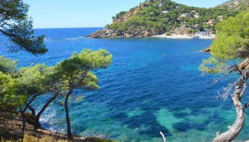 Grand Studio 30m avec jardin proche des plages - Foto 3