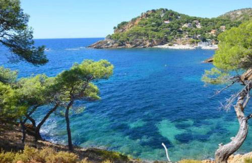 Grand Studio 30m avec jardin proche des plages - Foto 3