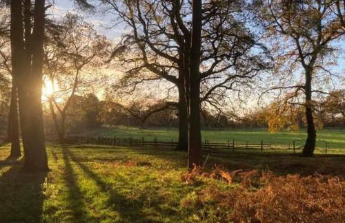 Yewtree Cottage - Foto 9