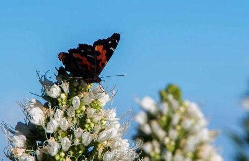 CASAS EN FINCA ECOLÓGICA LA ESPIRAL, NATURALEZA, CALMA Y VISTAS al MAR, - Foto 60