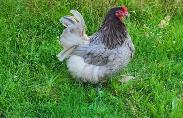 Urlaub im Neuseenland - Foto 26