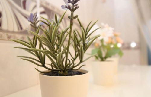 Holiday-House-Camelia-600-meters-from-the-beach - Photo 17