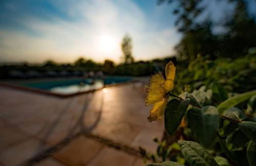 Holiday Home Villa mit Pool für 29 Personen ca- 800 m2 by Interhome - Foto 24