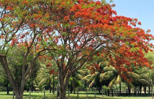 Sítio Chalako, casa exclusiva às margens do Rio Mimoso - Foto 34