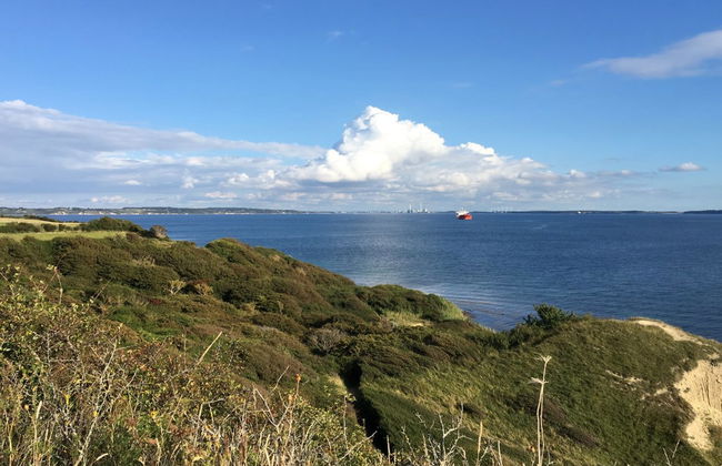 "Miona" - 725m from the sea - Foto 13