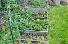 Amenities Galore Sweet Lil Bungalow in Sheridan - Foto 21