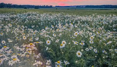 The Bonnie Wee Bothy - Foto 4