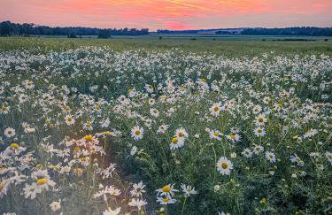 The Bonnie Wee Bothy - Foto 4