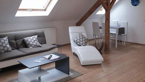 Vogelnest Riesa - Foto 2