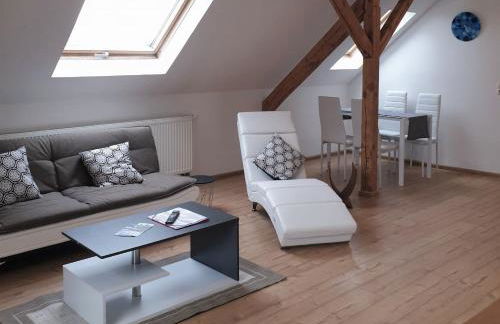 Vogelnest Riesa - Foto 2