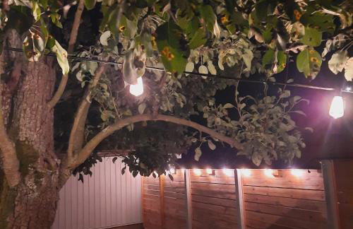 CHILL-i-Domki - Foto 7