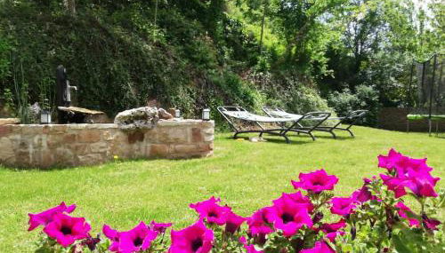 Les Gîtes du Moulin d Olt - Foto 2, Garden