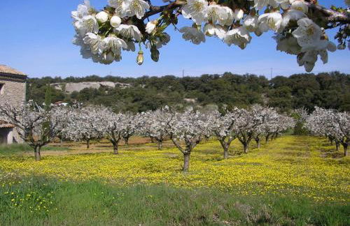 Le Clos d'Estellan - Piscine chauffée - Foto 74