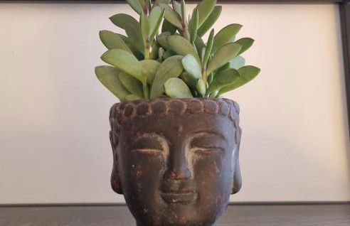 Im Zentrum von Leverkusen, helle 3-Zimmerwohnung 80 m2 - Foto 12