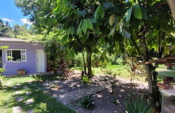 Sítio Com riacho particular em Cachoeira de Macacu - Foto 36