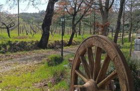 Appartamento in casale Umbro vicino Orvieto - Allerona - Foto 31