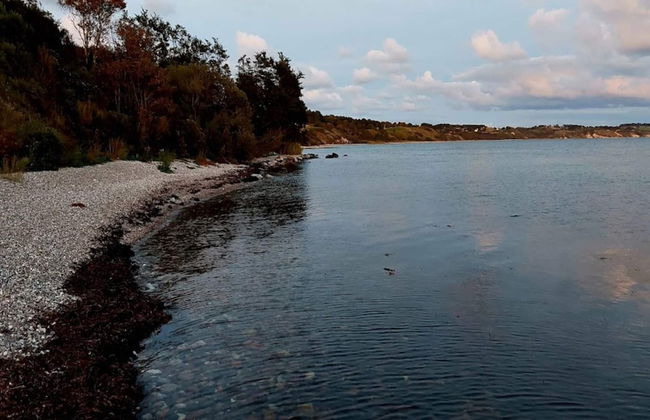 Holiday Home in Kalundborg - Foto 42