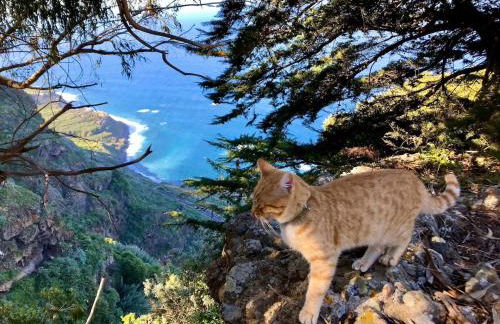 CASAS EN FINCA ECOLÓGICA LA ESPIRAL, NATURALEZA, CALMA Y VISTAS al MAR, - Foto 44