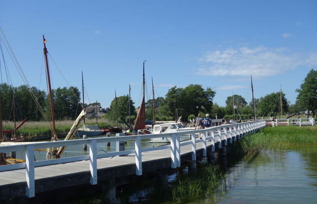 Captain House South Cats 8 - Photo 2