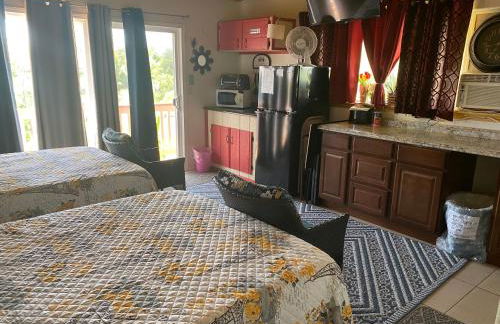 Nice Studio w/ AC near Kehena Beach and lava fields - Foto 5