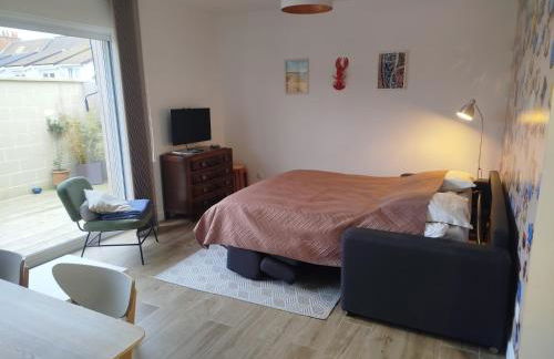 Les Amarres 6 pers Dunes et Mer Blériot plage - Foto 11