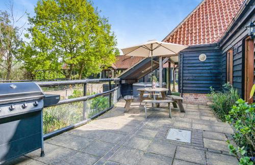 Ash - Uk49524 - Foto 17