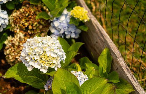 Florenças House - Private Jacuzzi & Garden - Foto 63