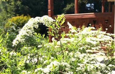 Apartamenty Kornaje - Szczawnica Jaworki - komfortowe apartamenty, basen, sauna, duży ogród, blisko szlaków i stoku narciarskiego - Photo 80