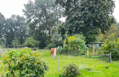 Urlaub in unserem „kleinen Haus“ - Foto 18